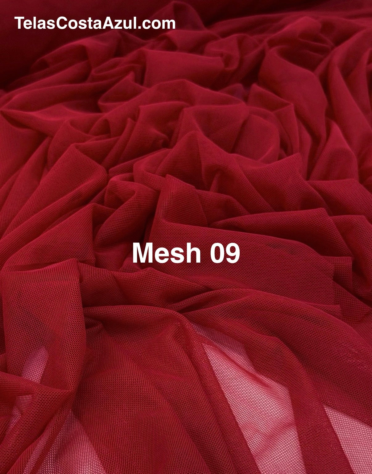 Mesh 09