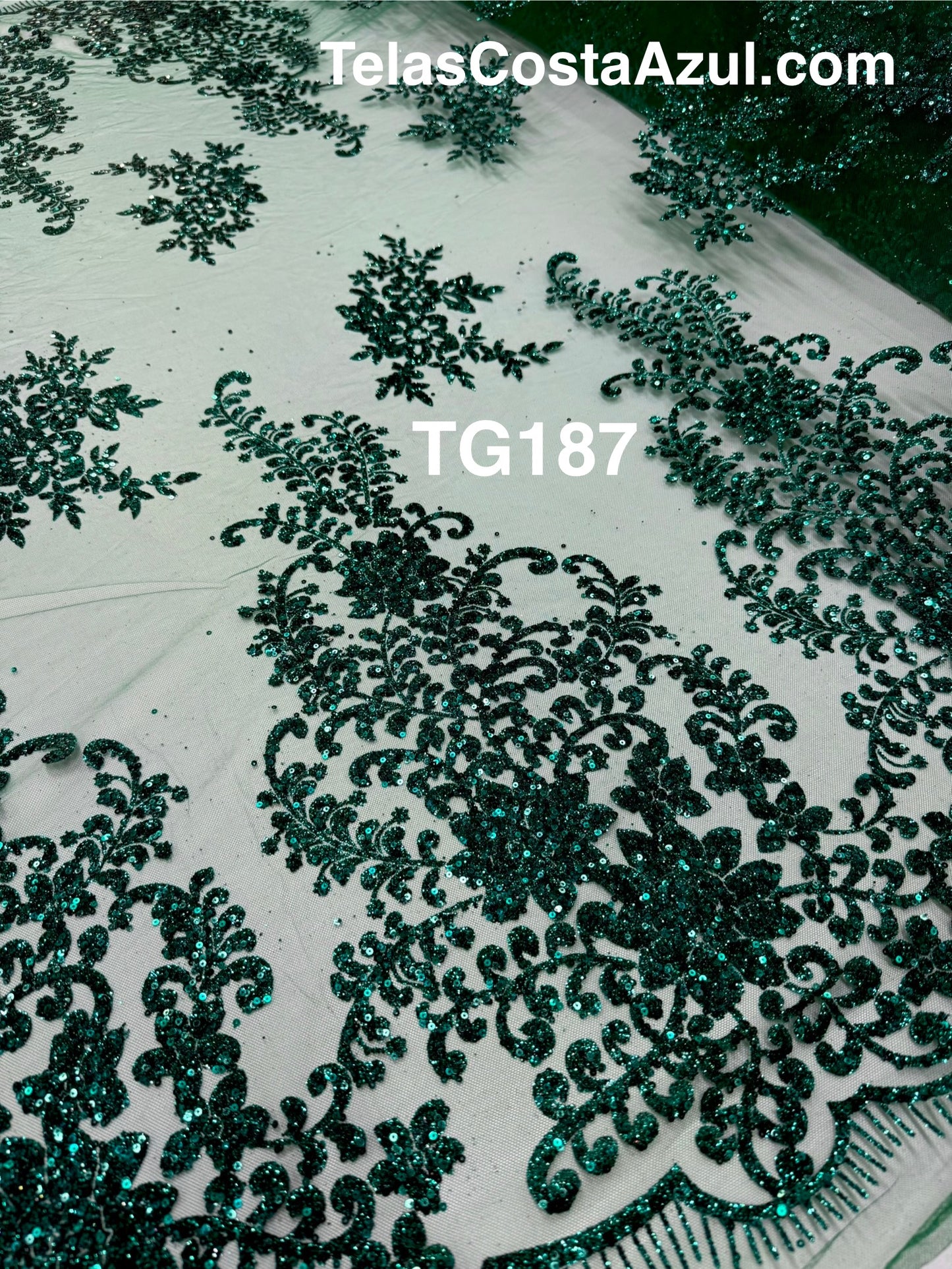 TG187
