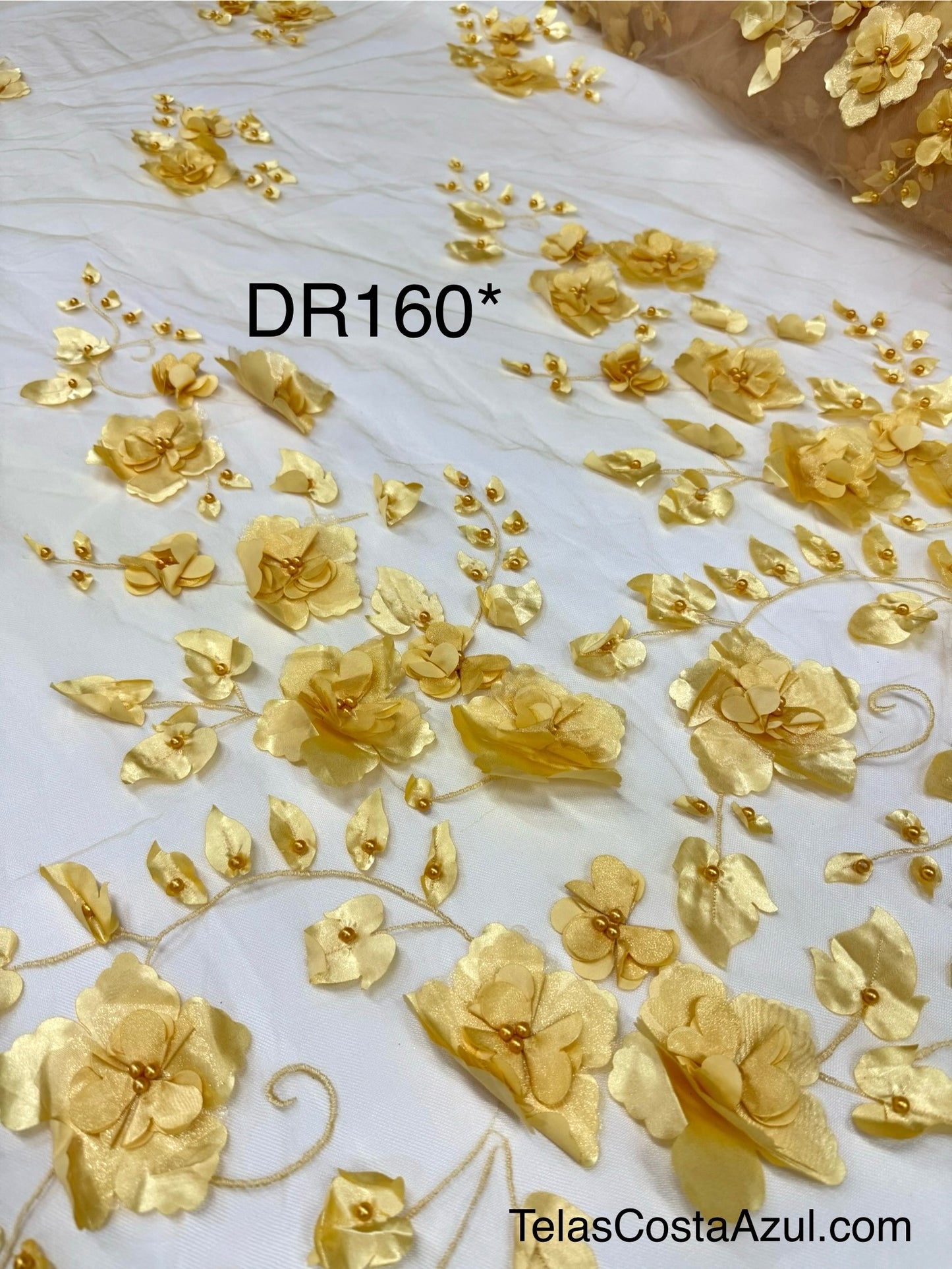 DR160*