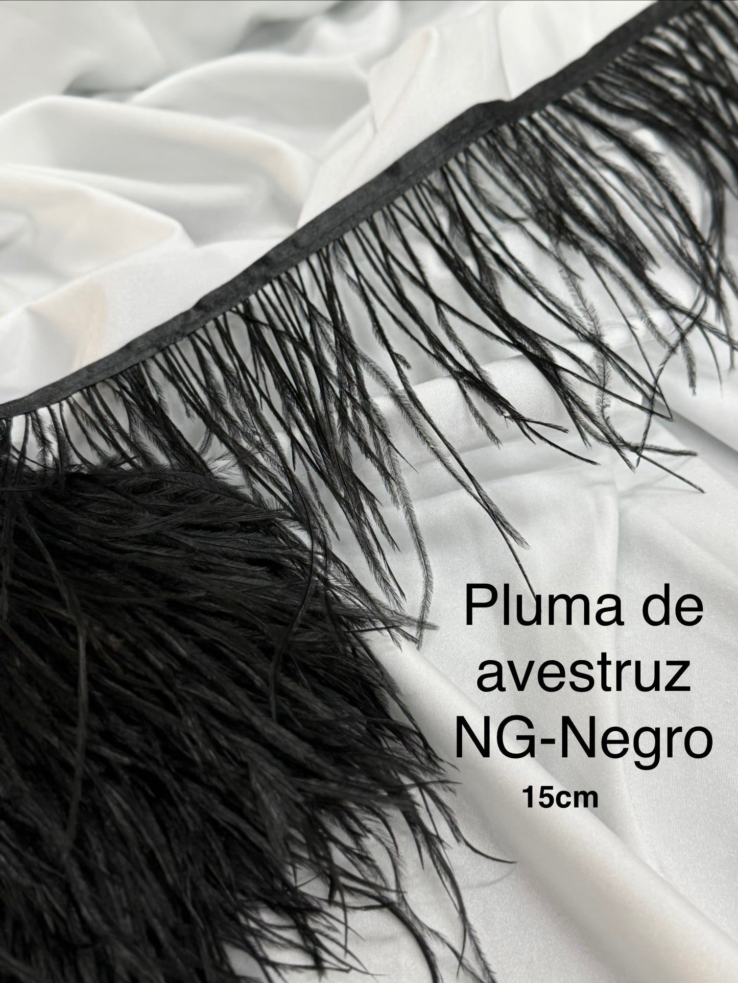 Plumas de avestruz 15cm largo Negro