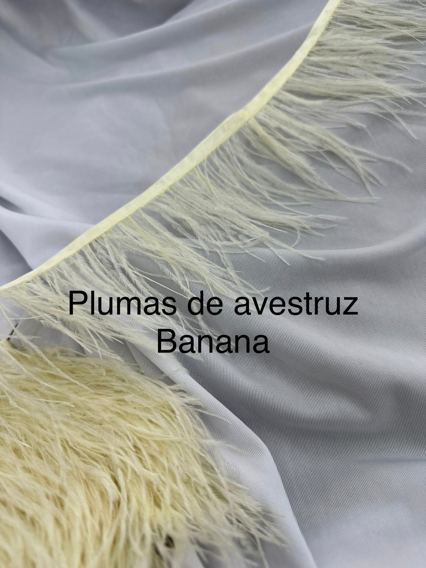 Plumas de avestruz 10cm largo Banana