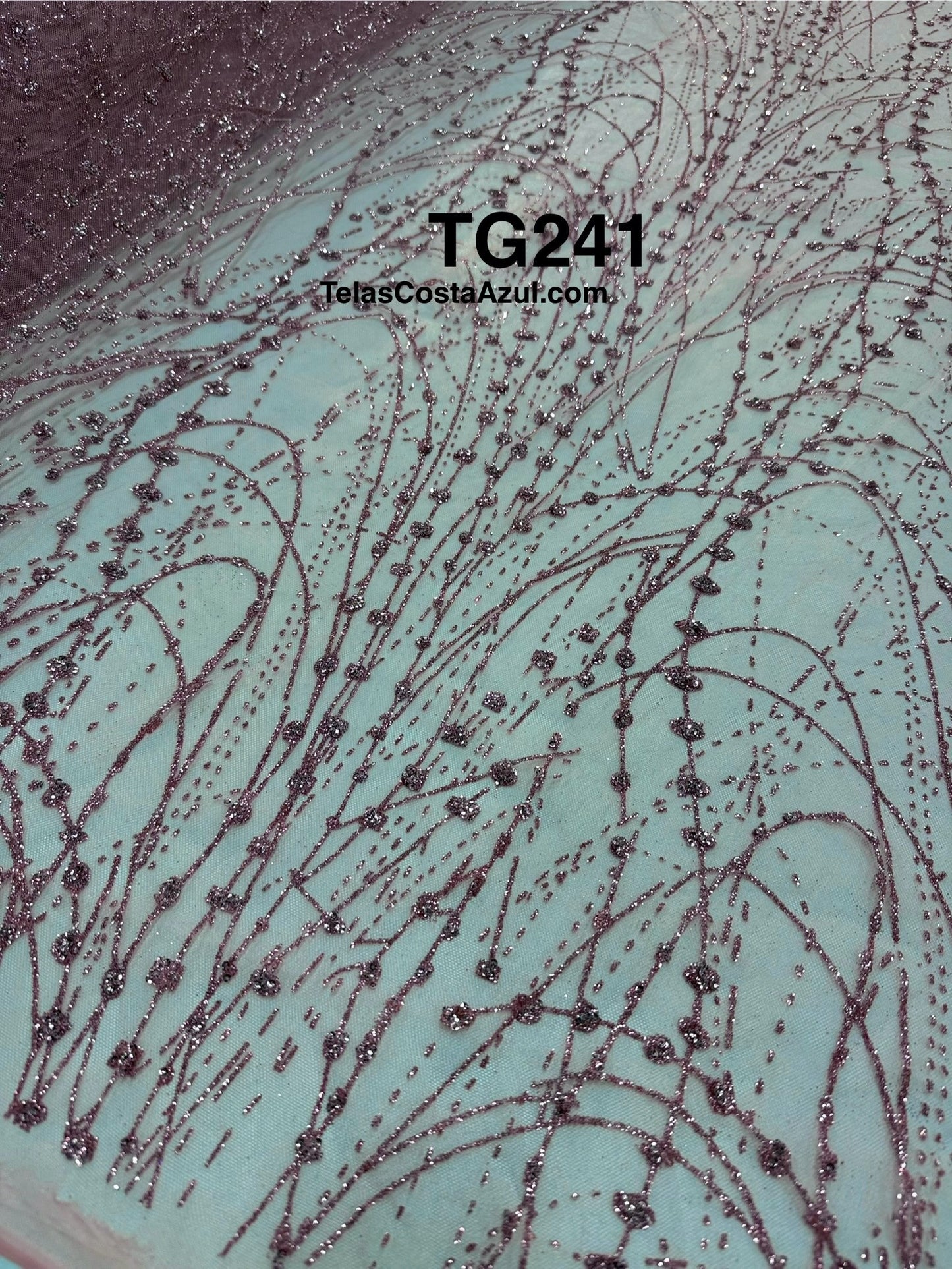 TG241 cadena