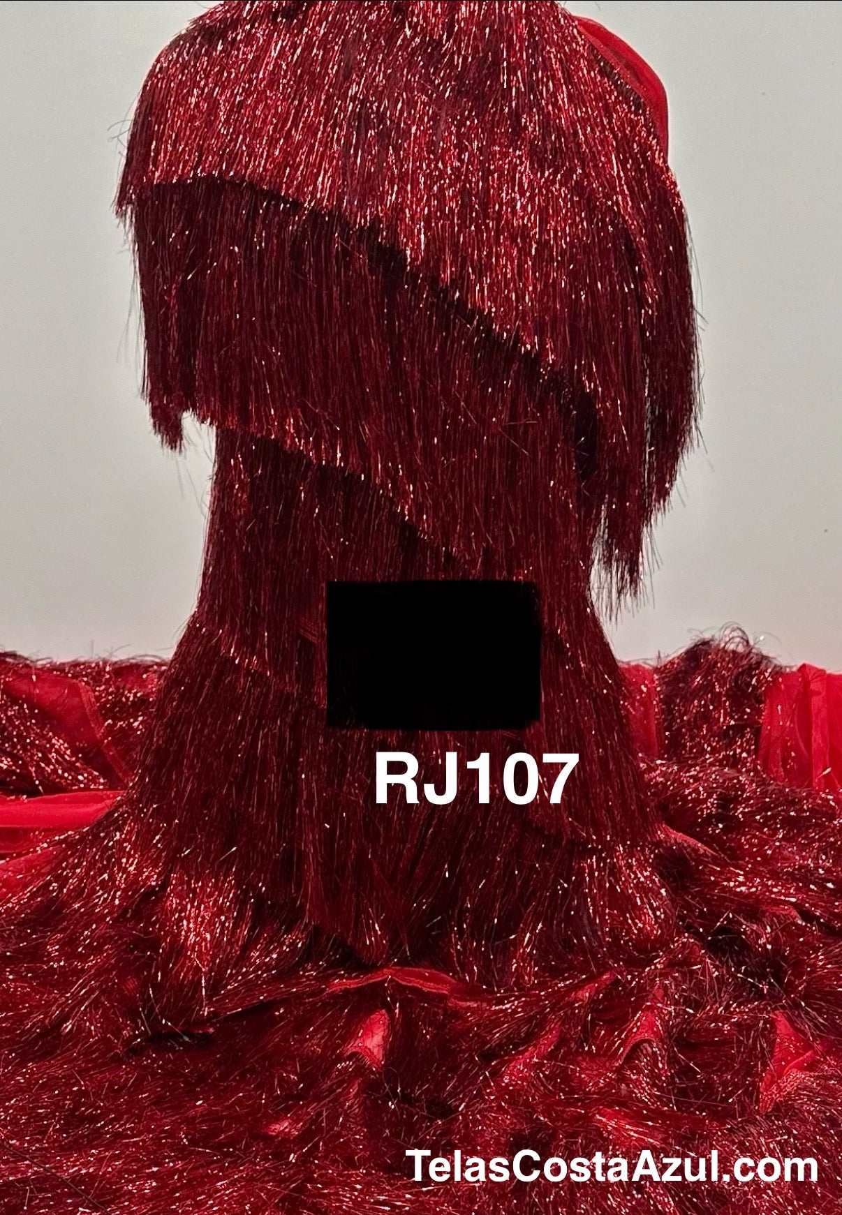 RJ107