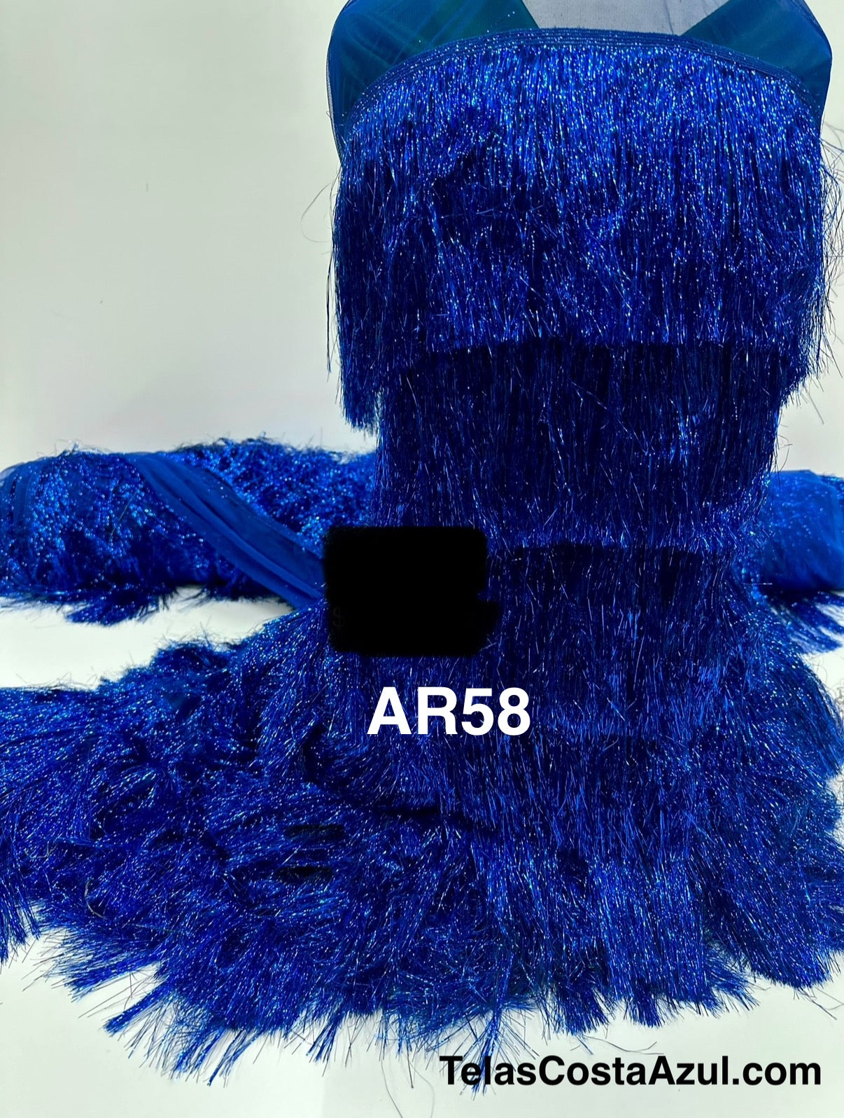 AR58