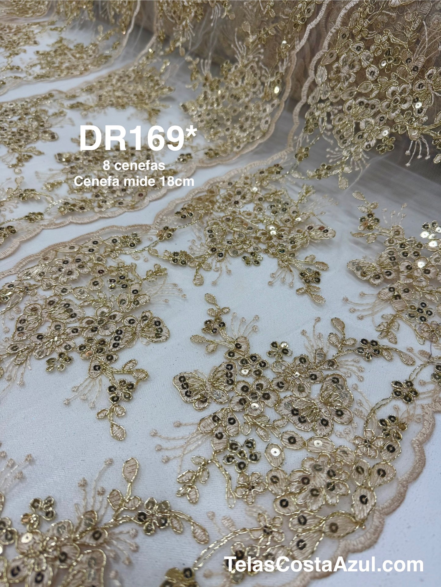 DR169*