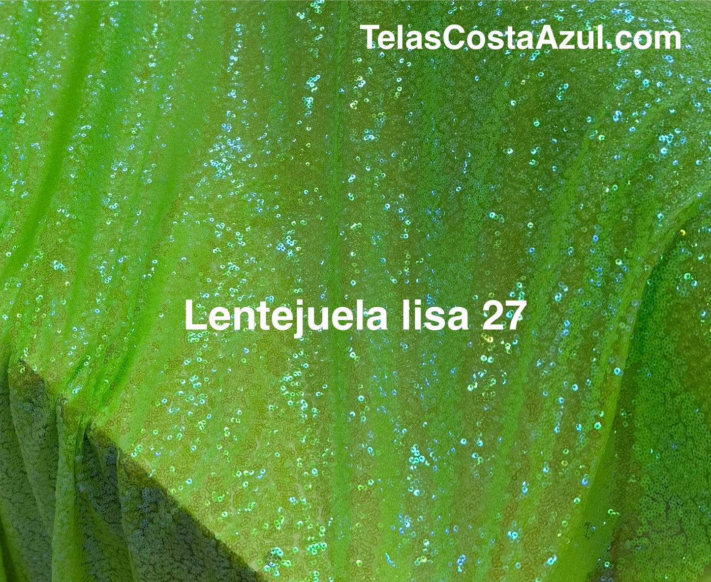 Lentejuela lisa 27