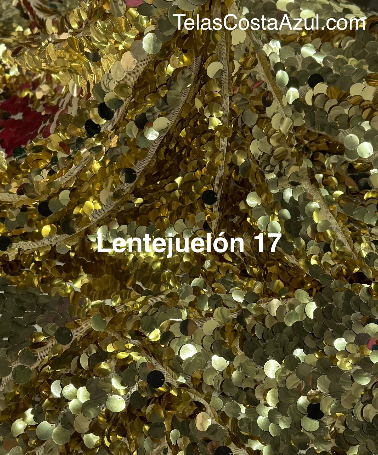 Lentejuelón 17