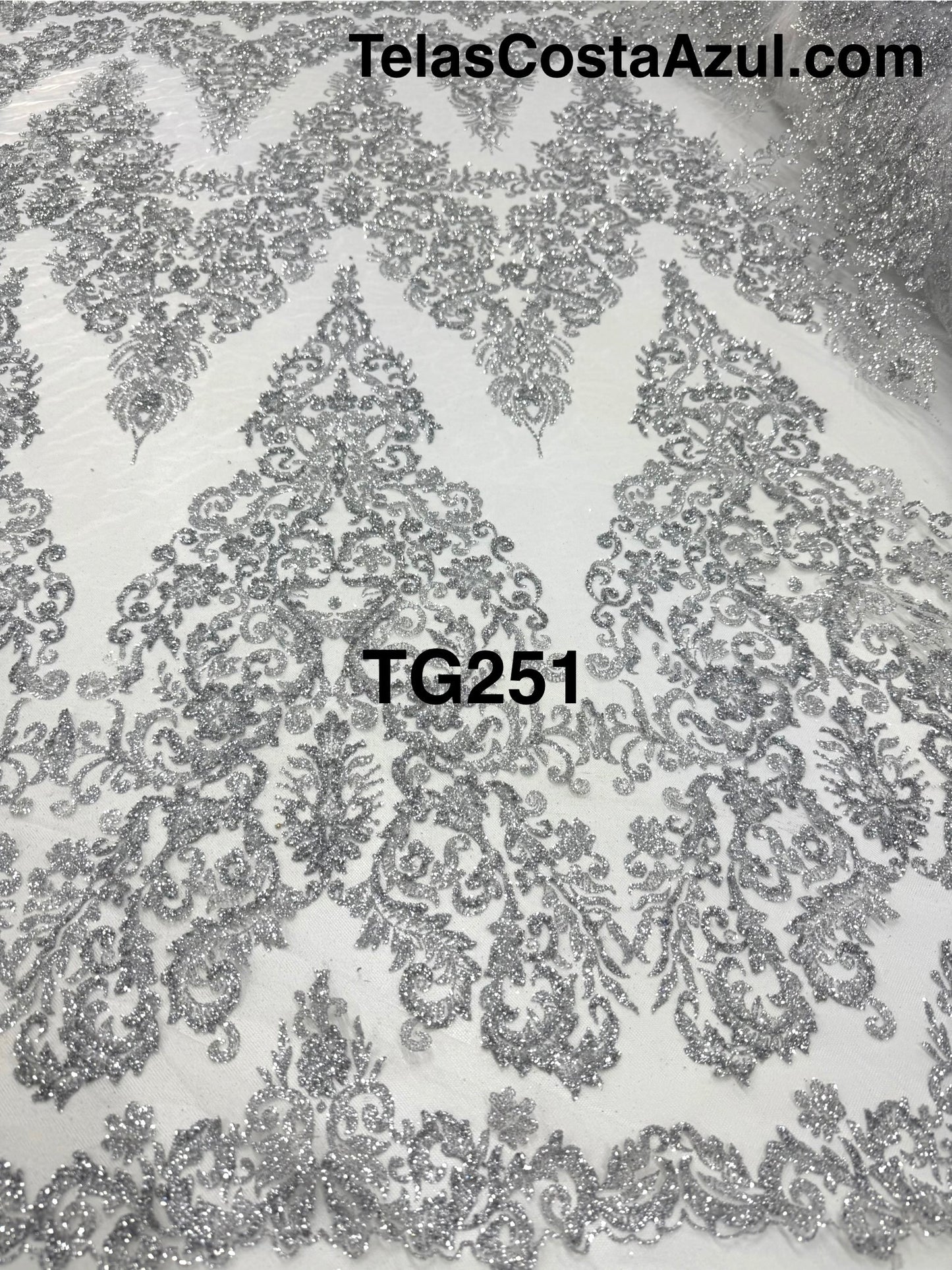 TG251
