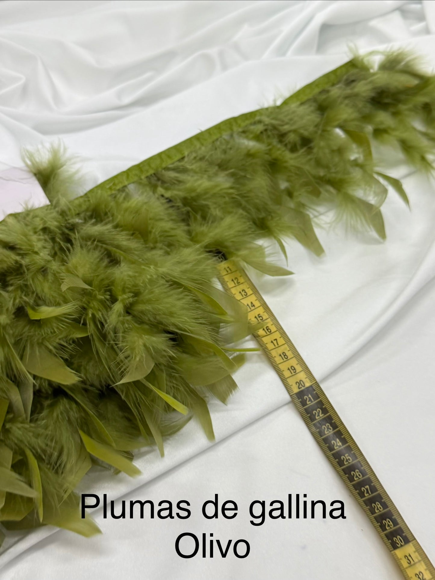 Plumas de gallina Olivo