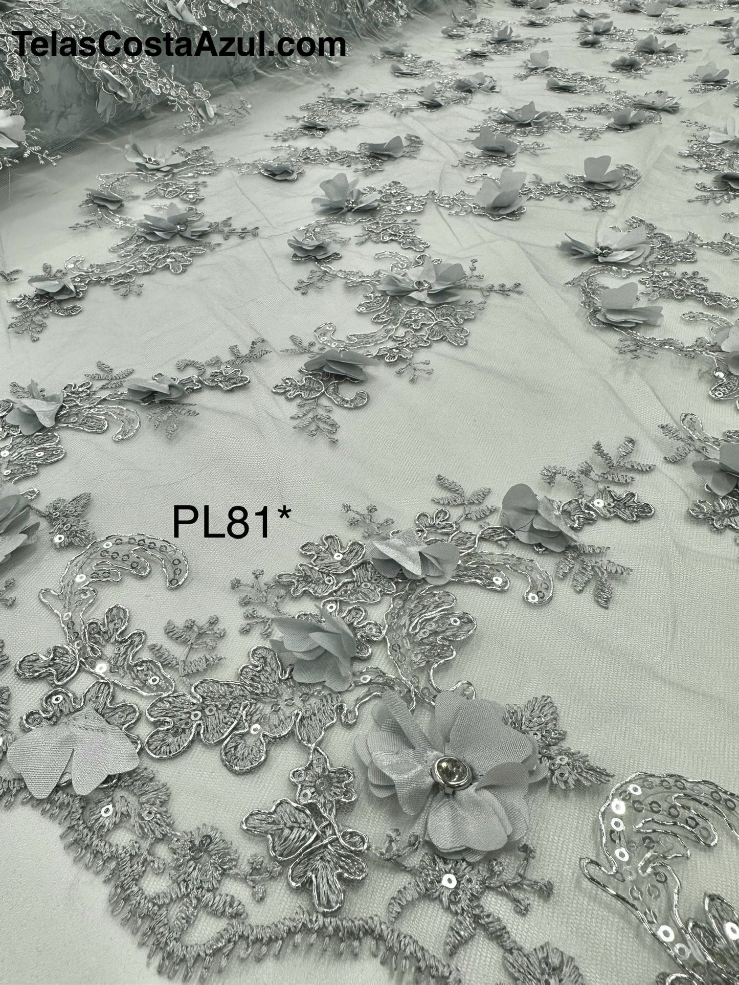PL81*