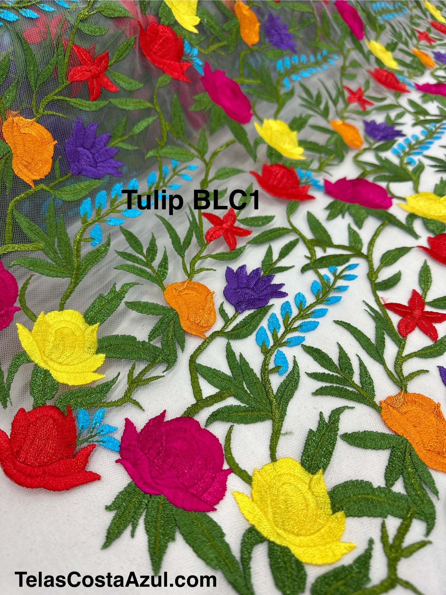 TulipBLC1 fondo blanco