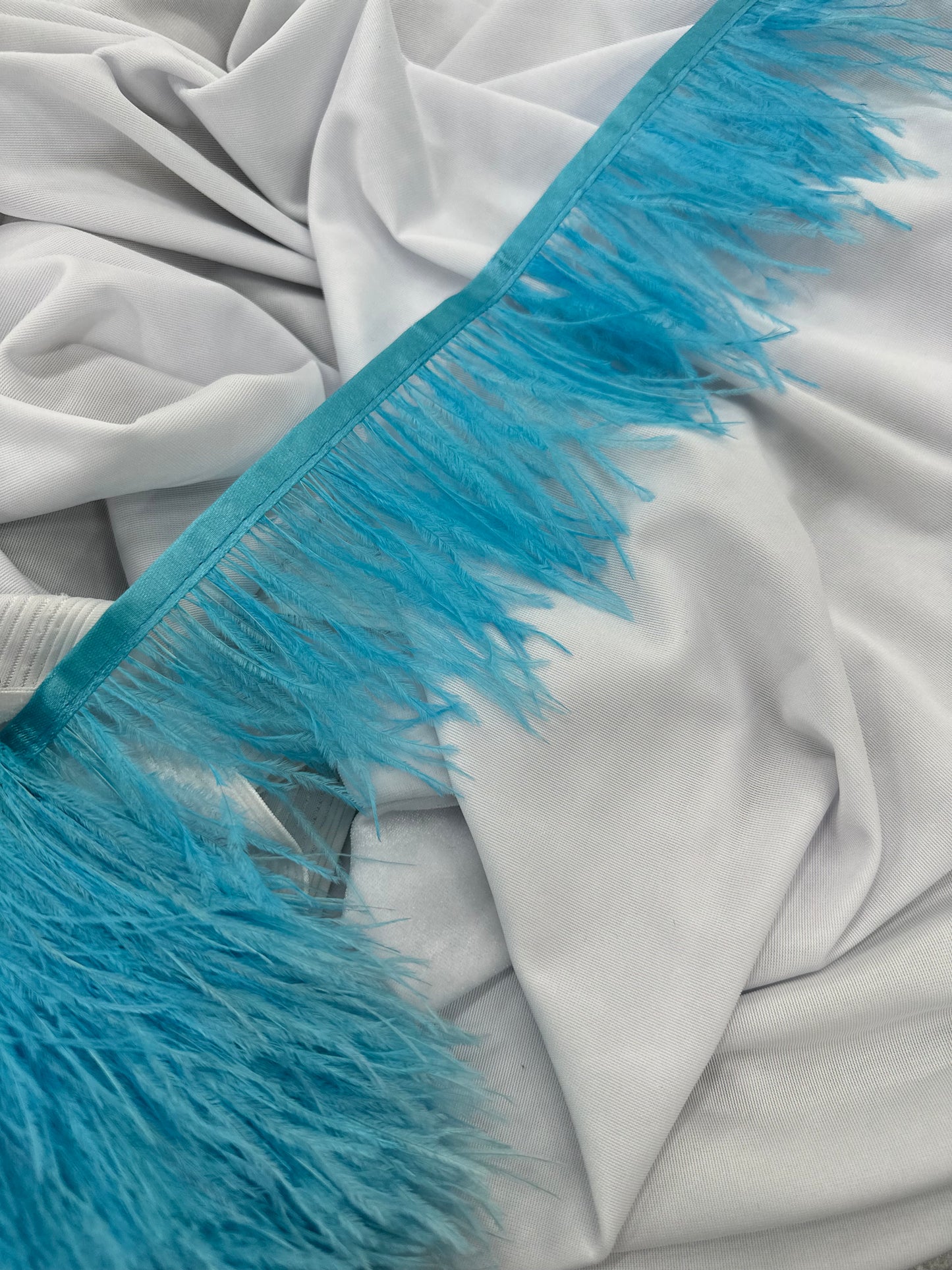 Plumas de avestruz 10cm largo