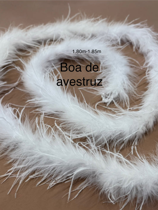 Boa de avestruz