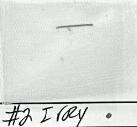 Tul italiano/óptico #2 Ivory