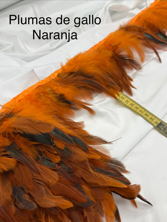 Plumas de gallo Naranja