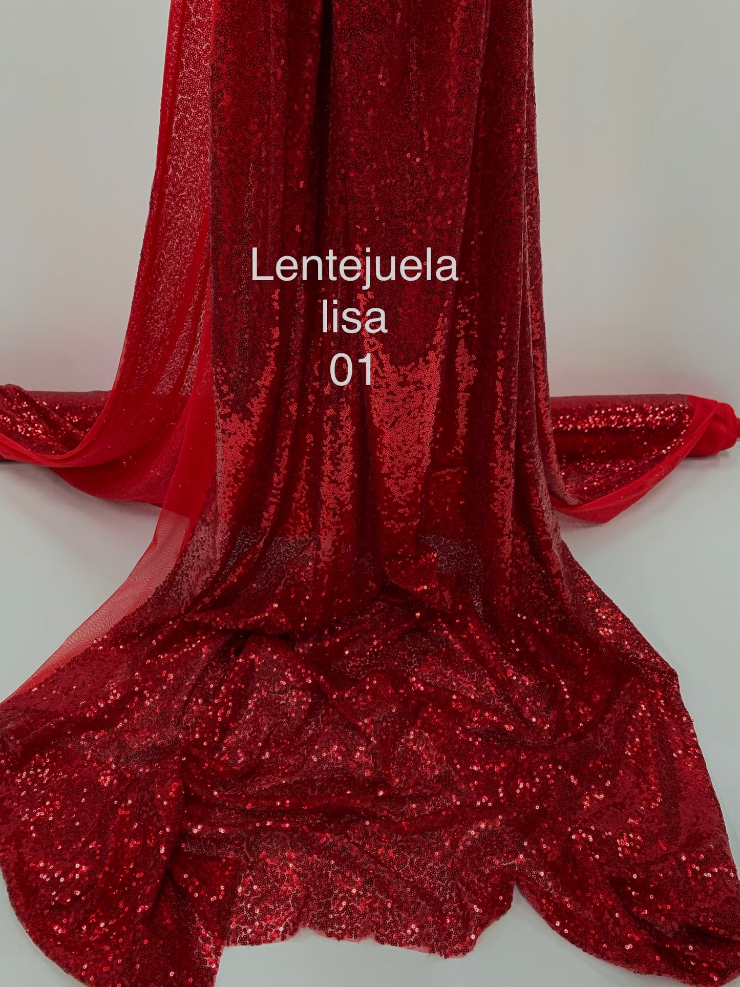 Lentejuela lisa 01