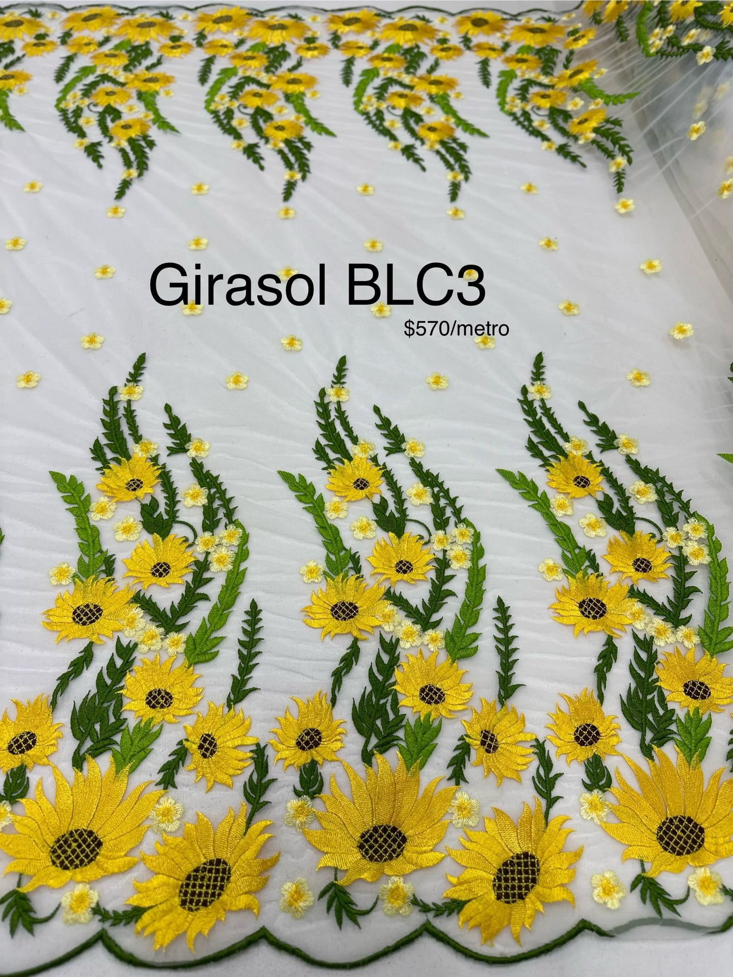 Girasol BLC3