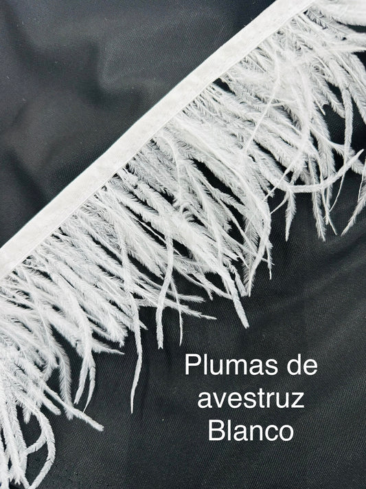 Plumas de avestruz 10cm largo Blanco