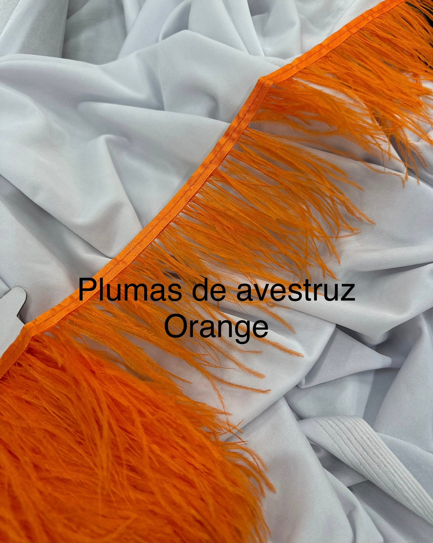 Plumas de avestruz 10cm largo Orange