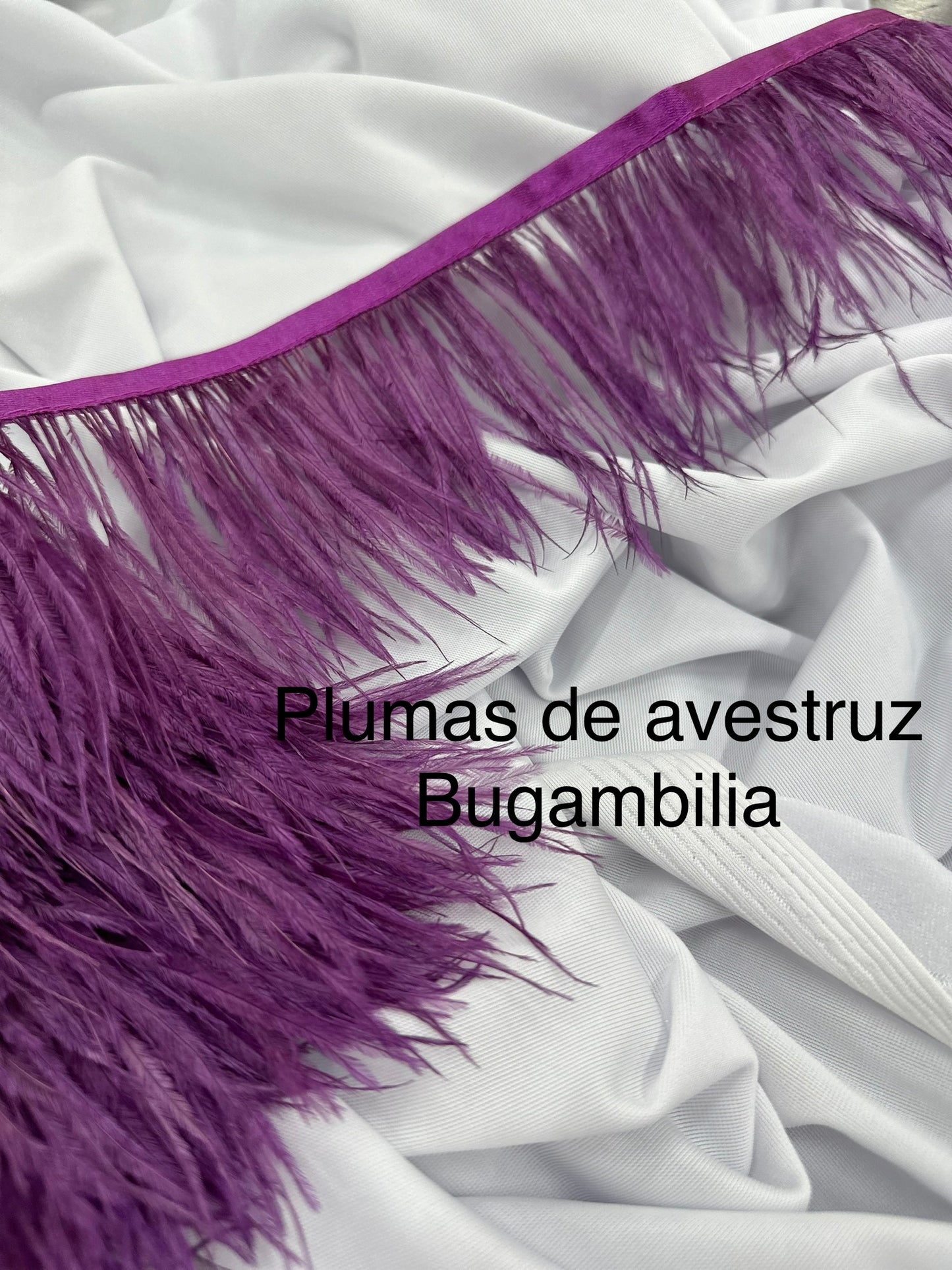 Plumas de avestruz 10cm largo Bugambilia