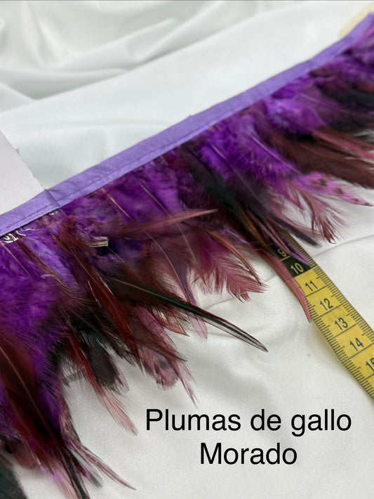 Plumas de gallo Morado
