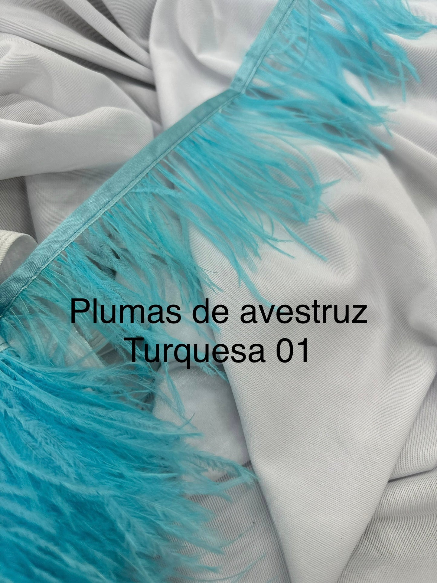 Plumas de avestruz 10cm largo Turquesa 01