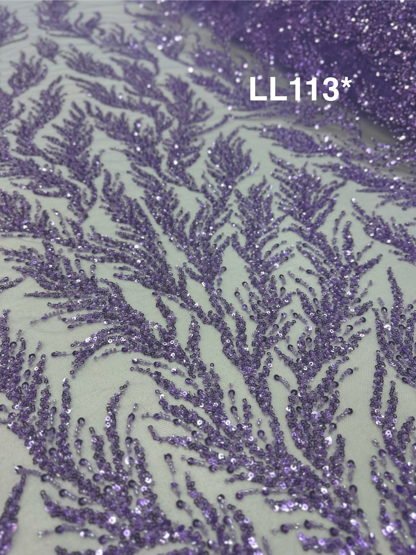 LL113*