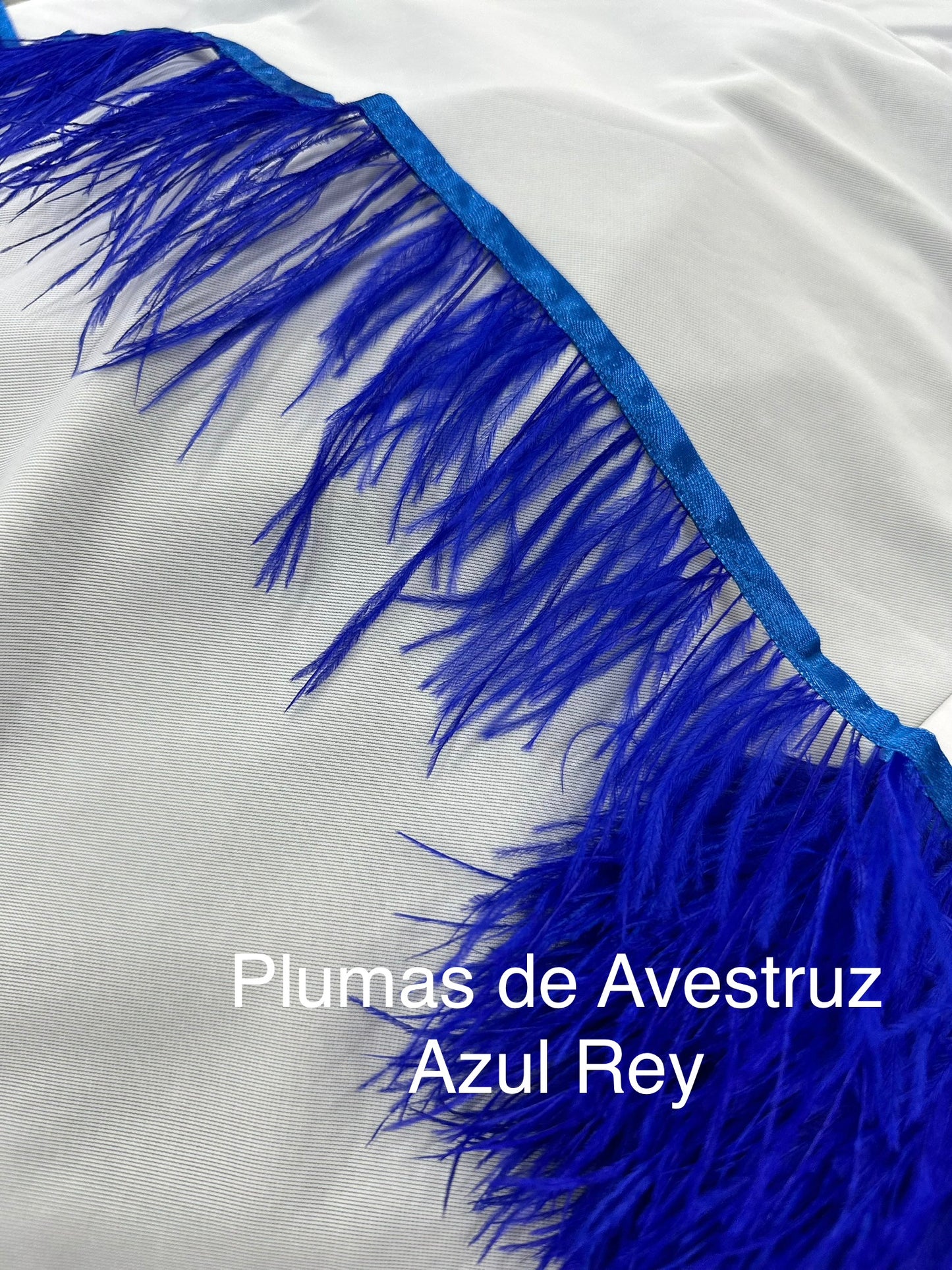 Plumas de avestruz 10cm largo Azul Rey