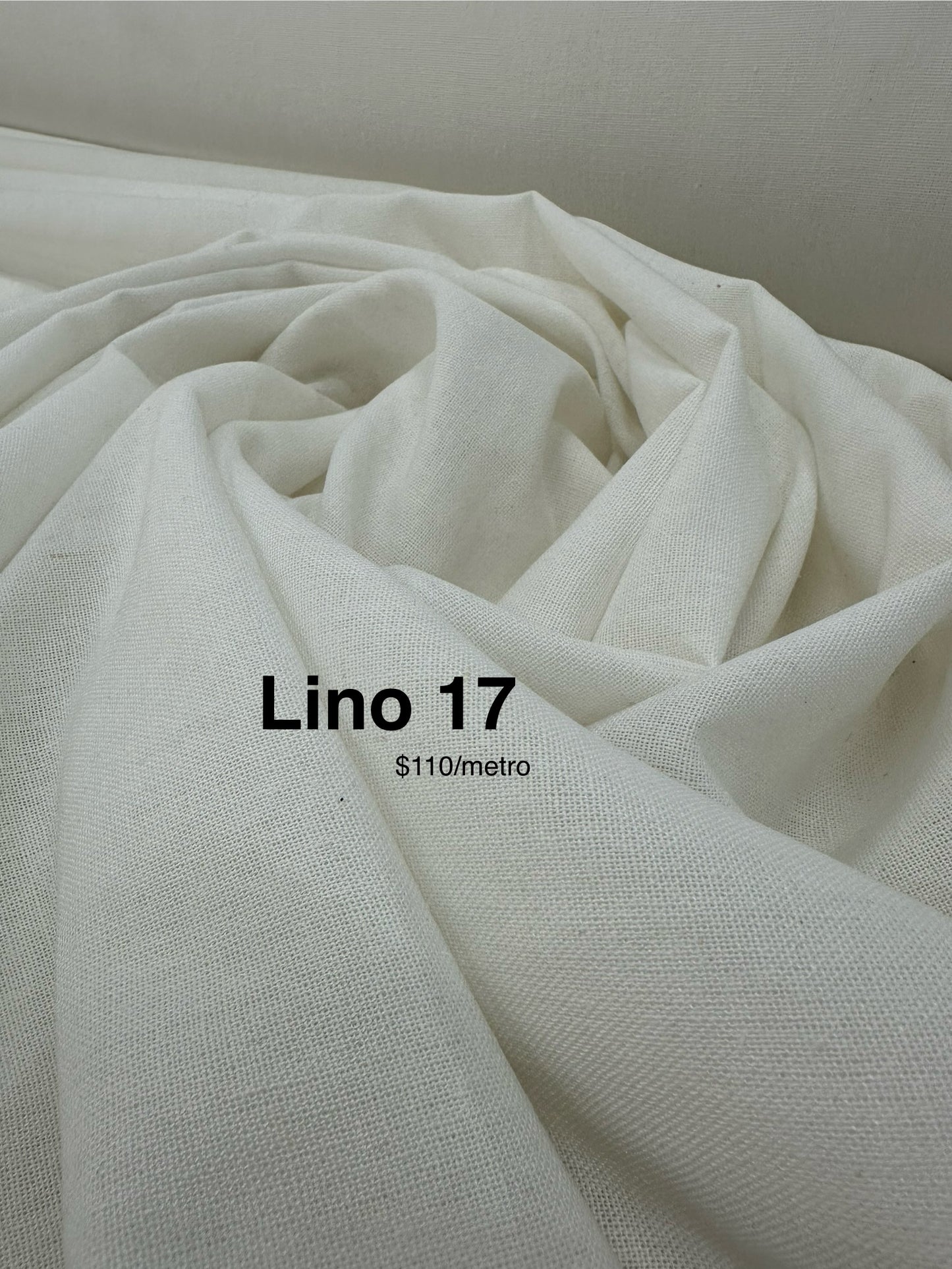 Lino 17