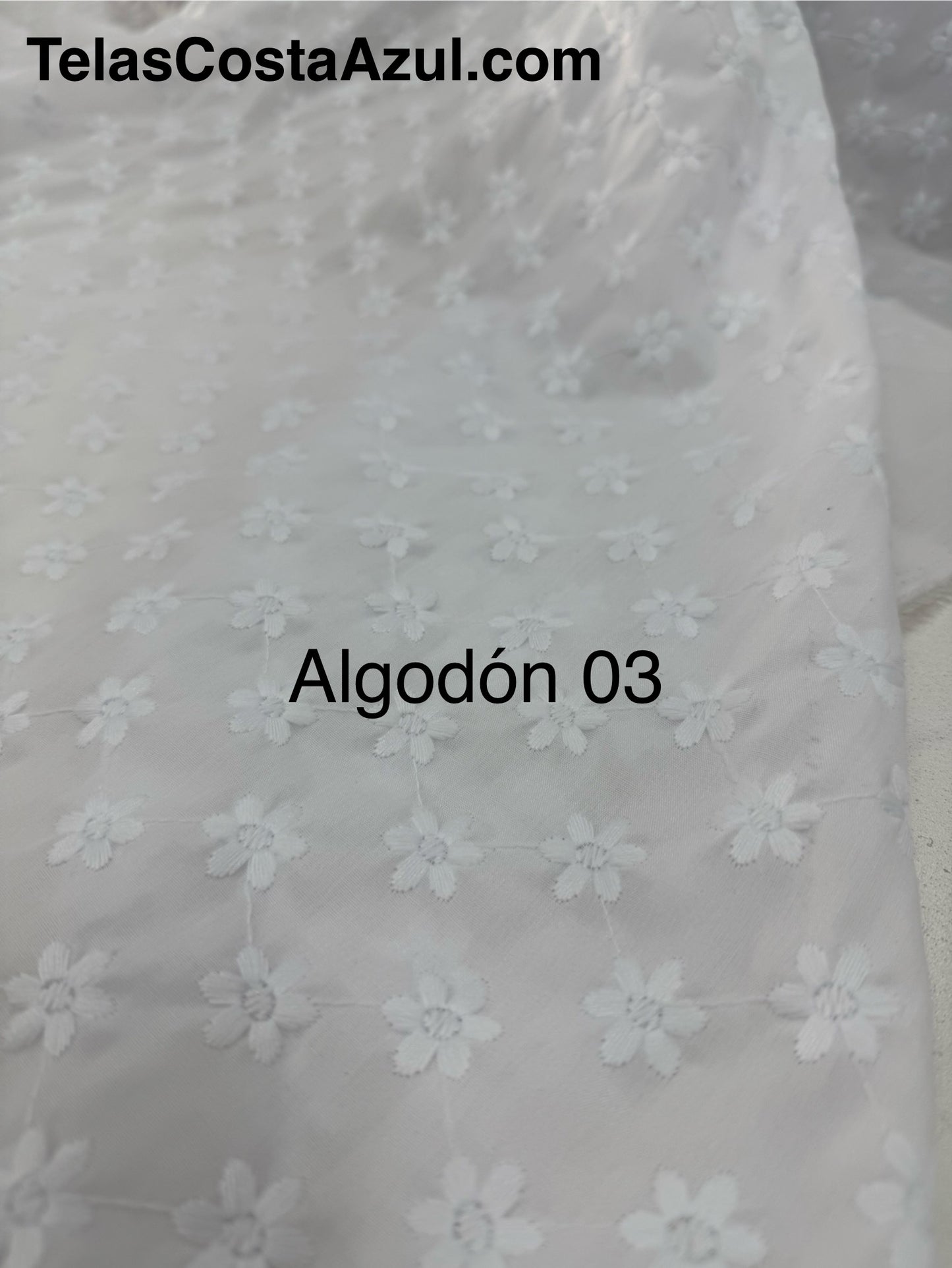 Algodón 03