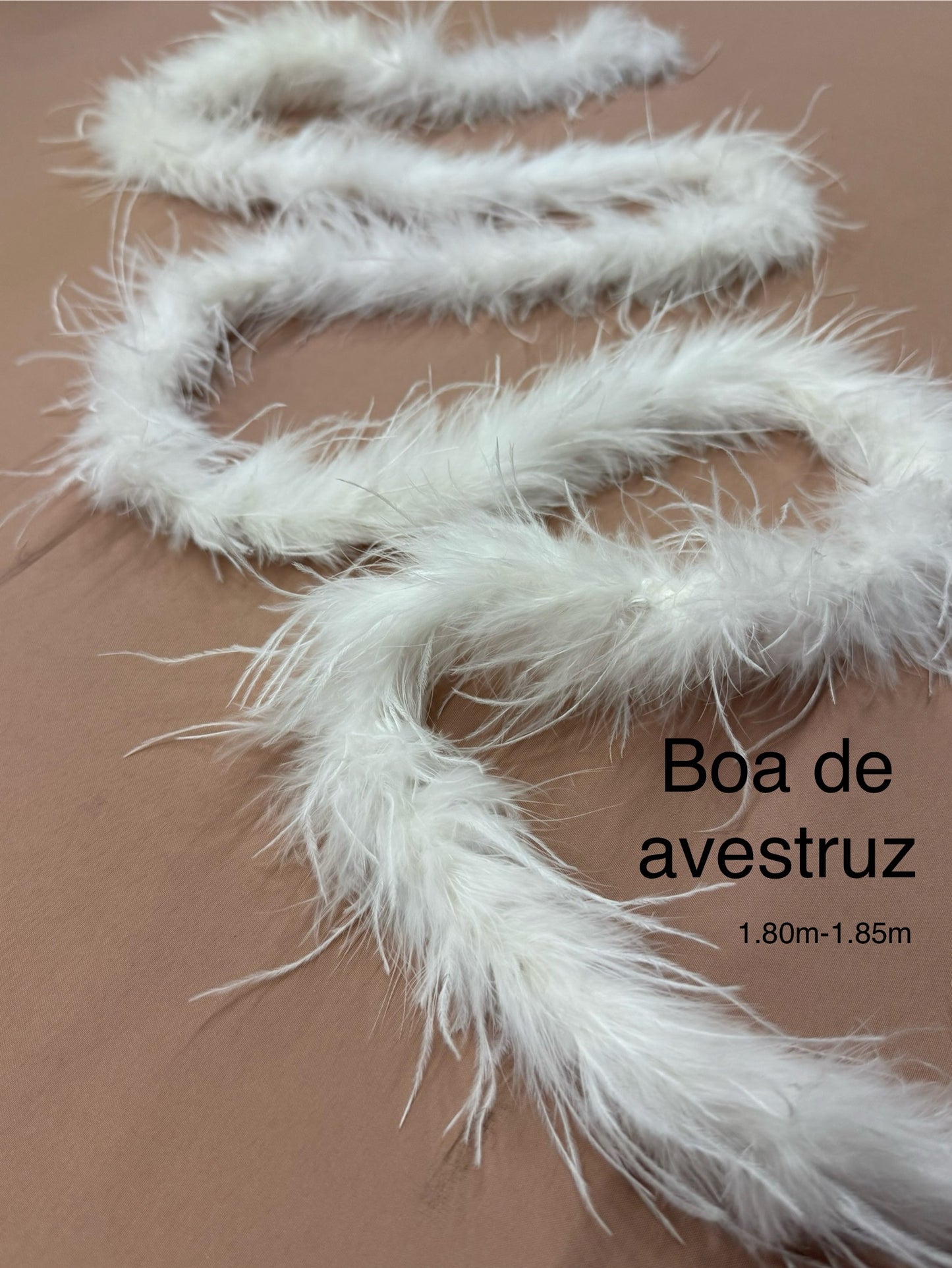 Boa de avestruz