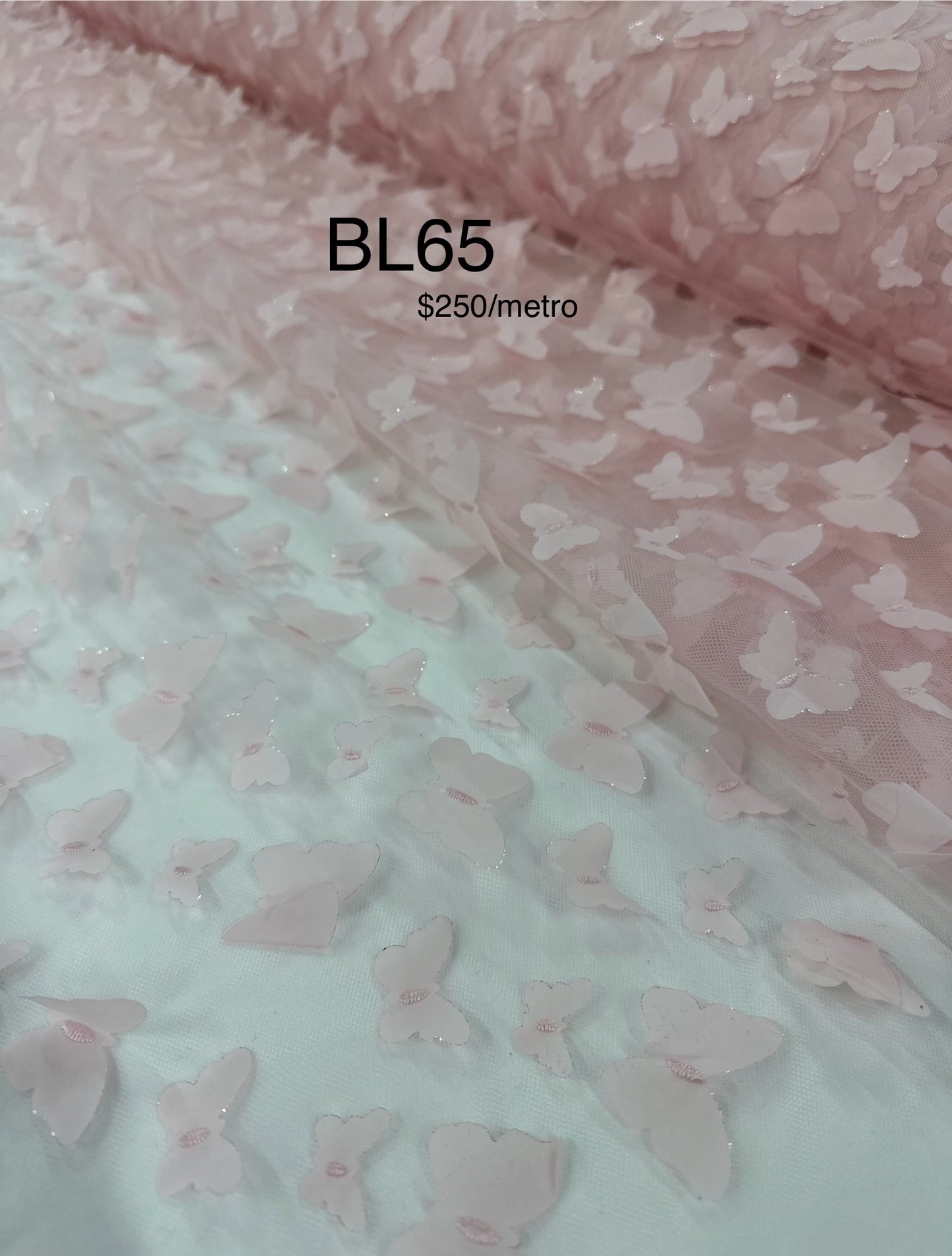 BL65