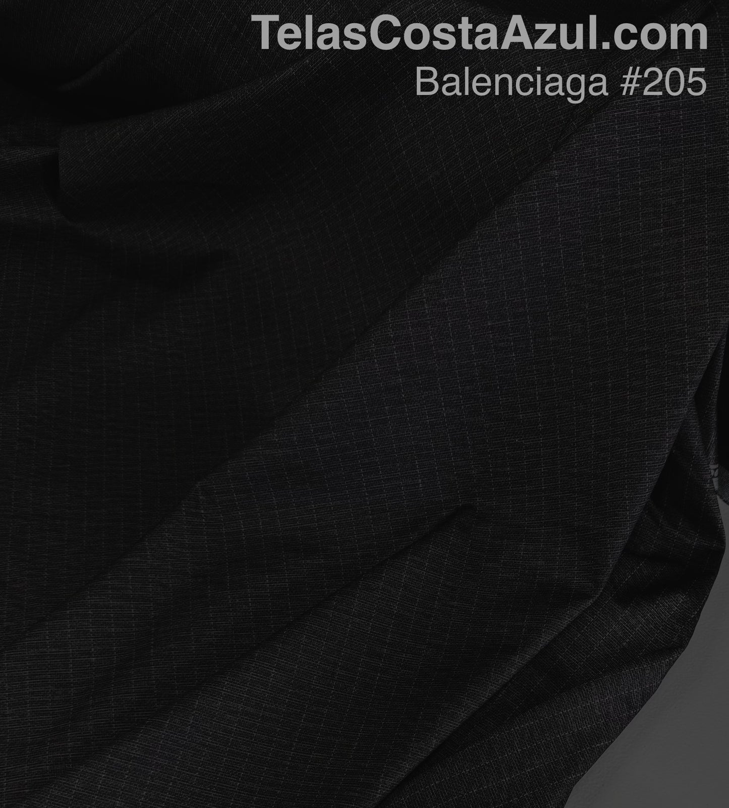 Balenciaga #205