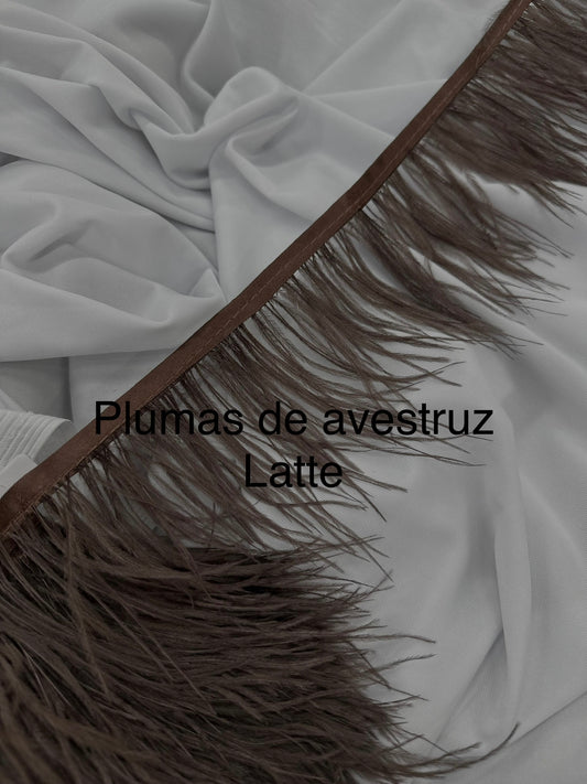 Plumas de avestruz 10cm largo Latte