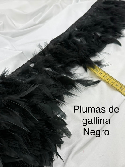 Plumas de gallina Negro