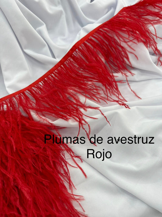 Plumas de avestruz 10cm largo Rojo