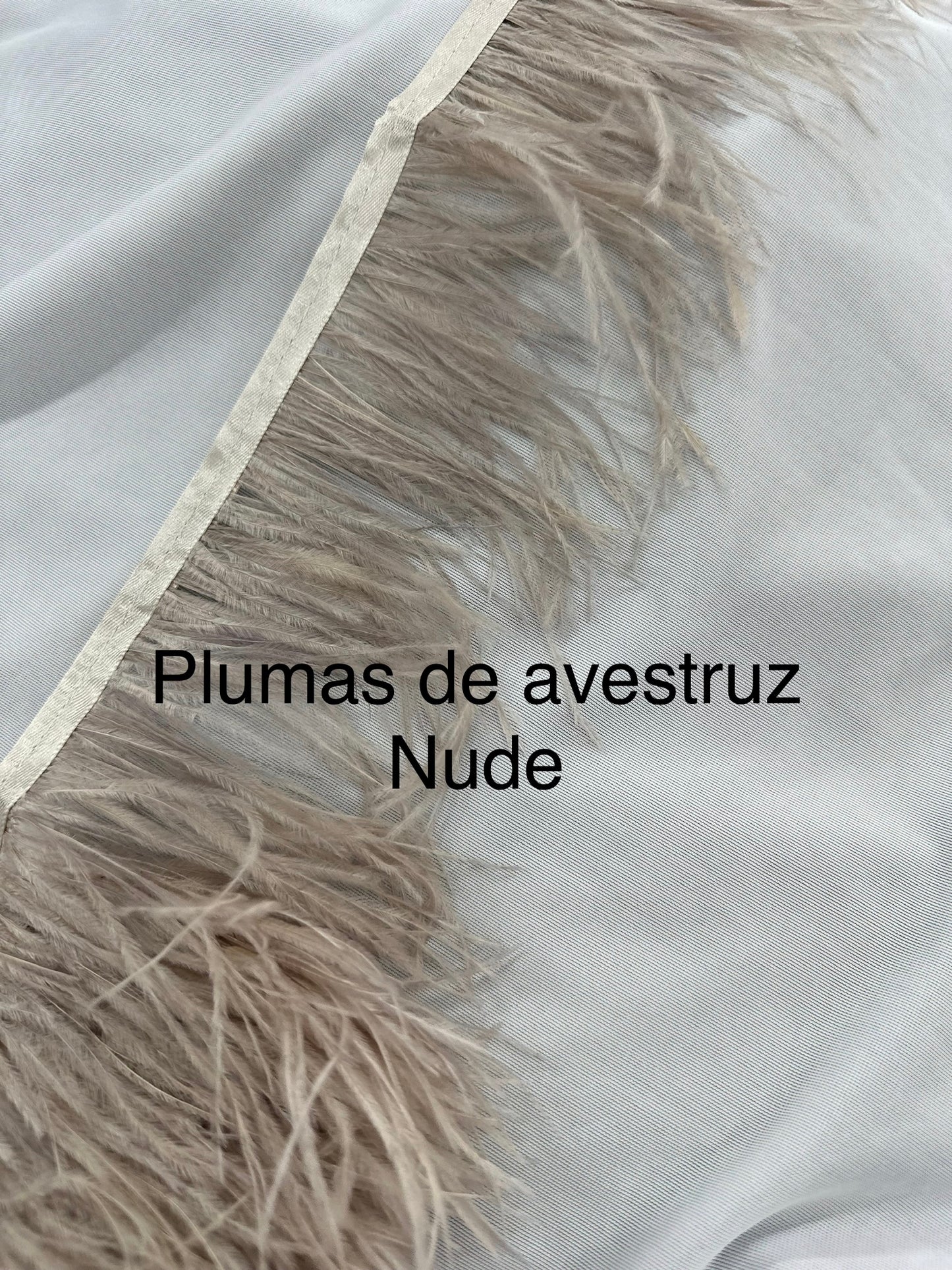 Plumas de avestruz 10cm largo Nude