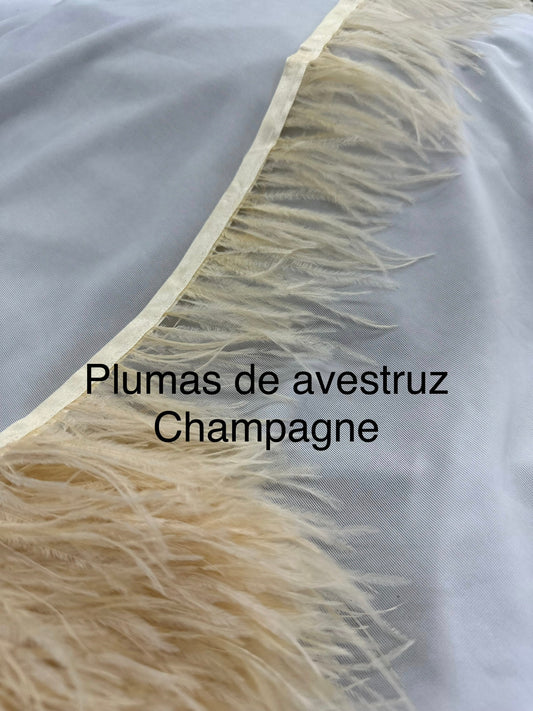 Plumas de avestruz 10cm largo Champagne