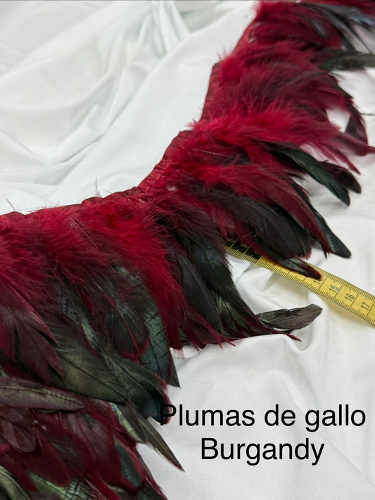Plumas de gallo Burgandy