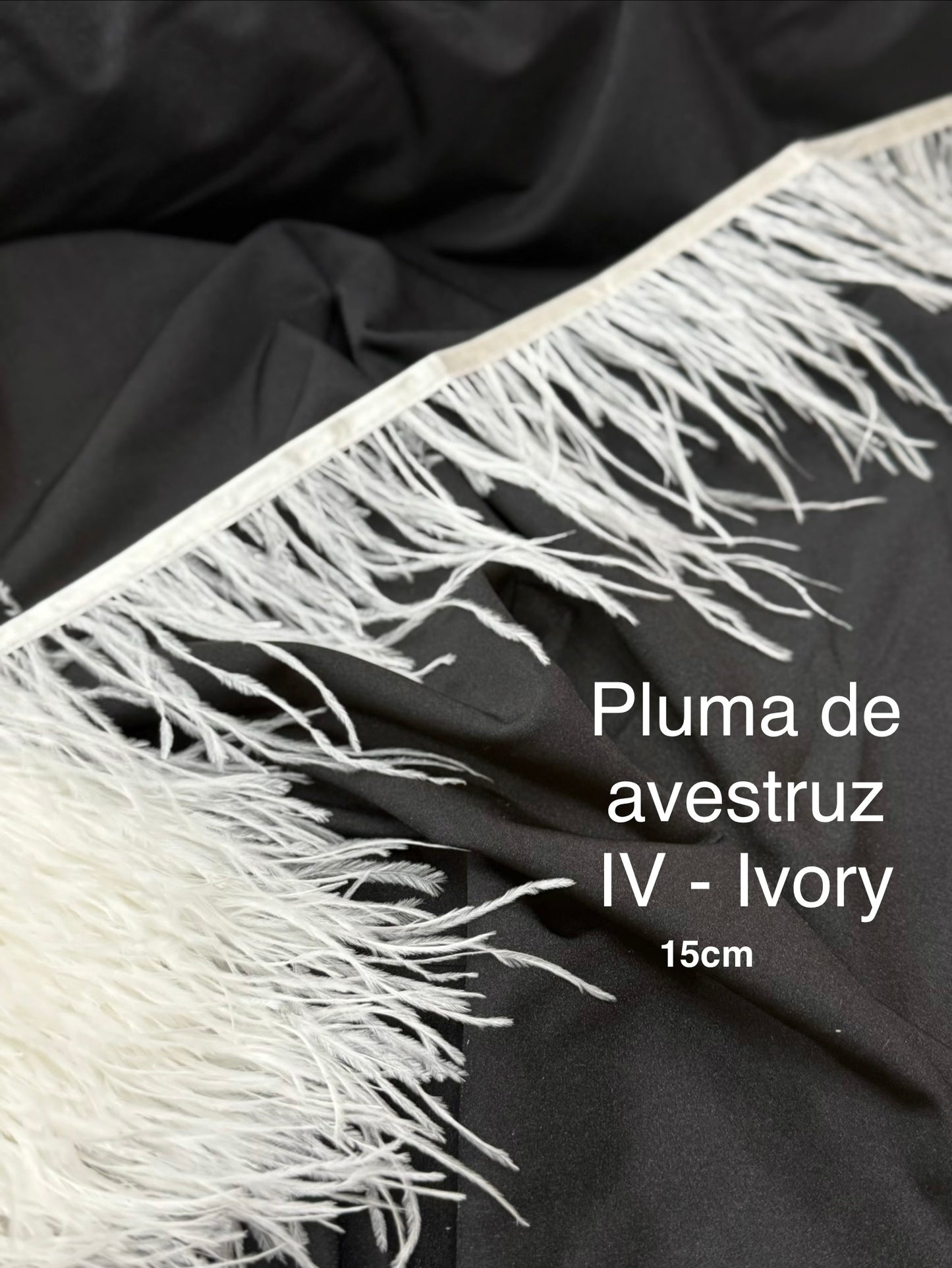 Plumas de avestruz 15cm largo IV-Ivory