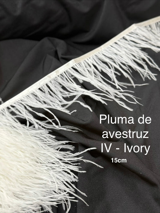 Plumas de avestruz 15cm largo IV-Ivory