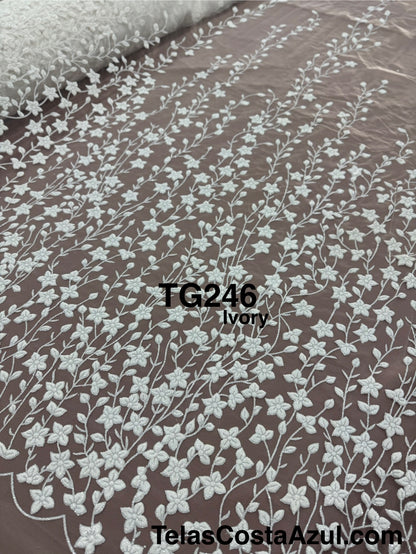 TG246