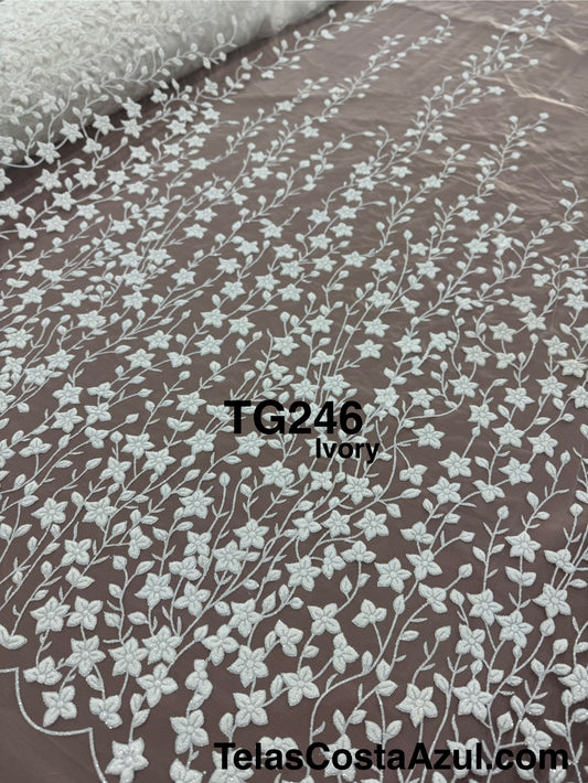 TG246