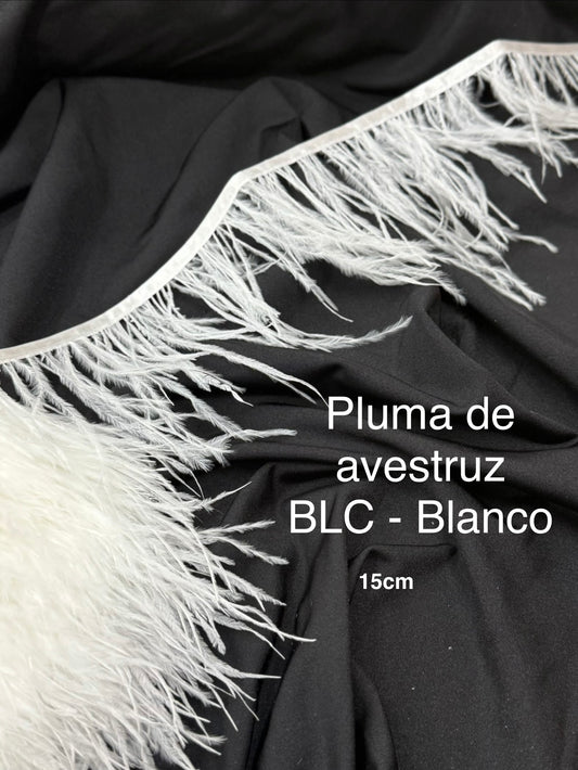 Plumas de avestruz 15cm largo BLC-Blanco