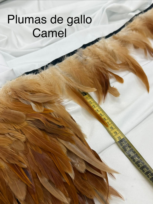 Plumas de gallo Camel