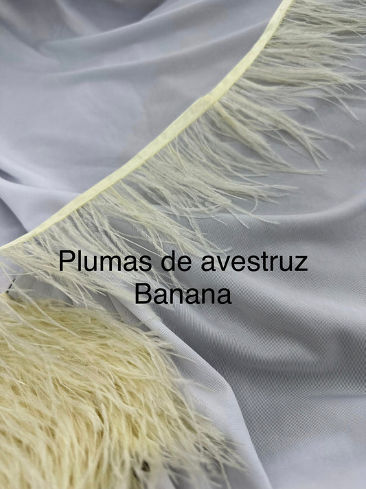 Plumas de avestruz 10cm largo Banana