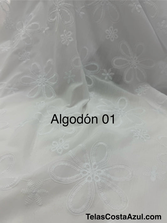 Algodón 01
