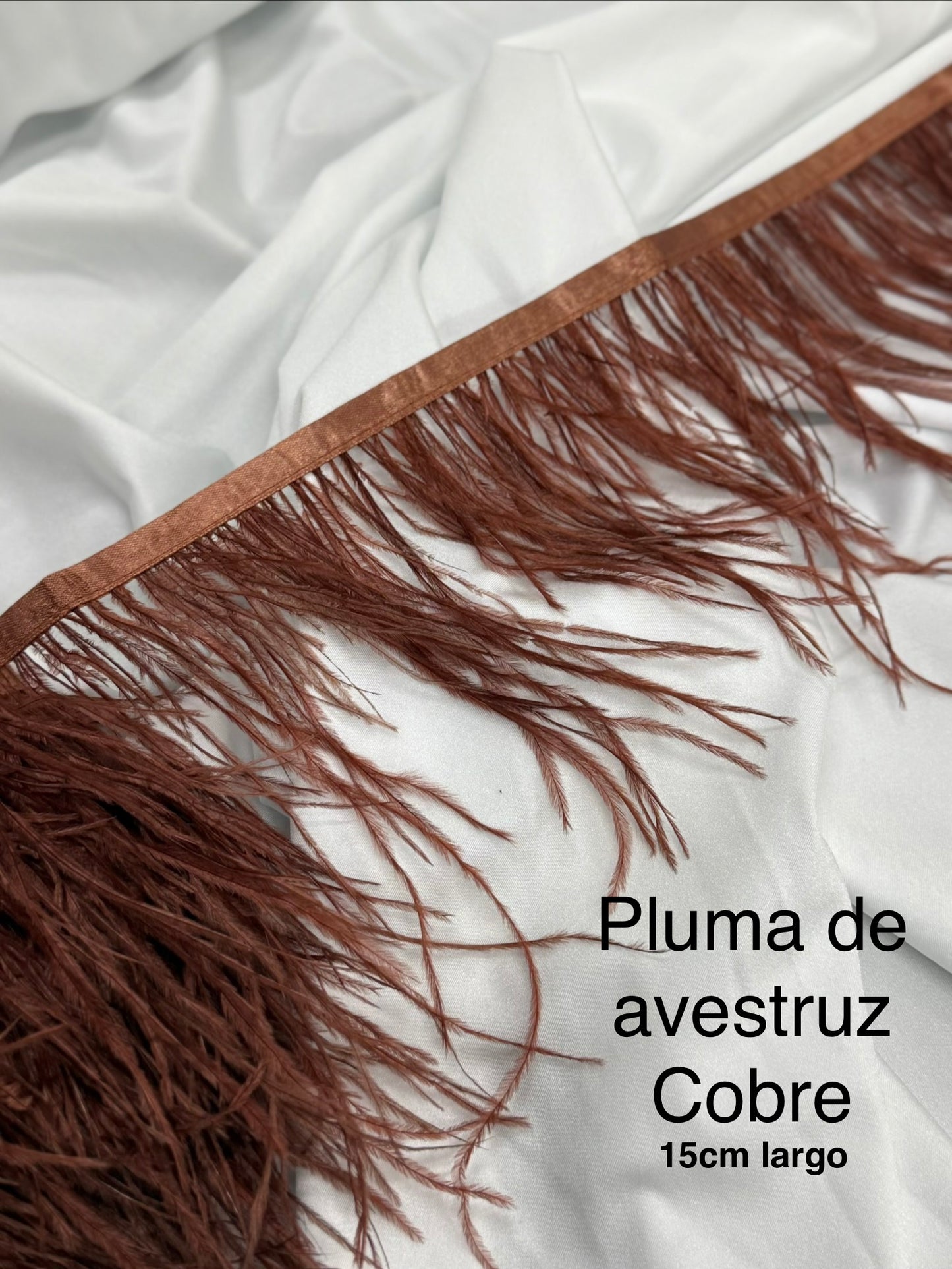 Plumas de avestruz 15cm largo Cobre