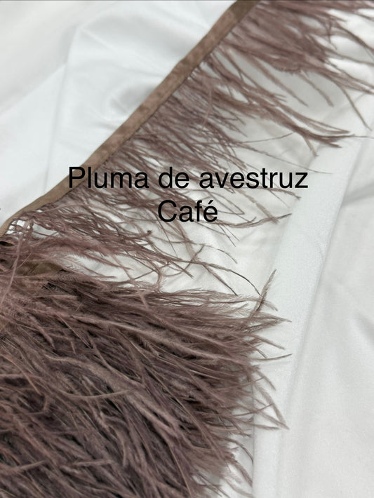 Plumas de avestruz 10cm largo Café