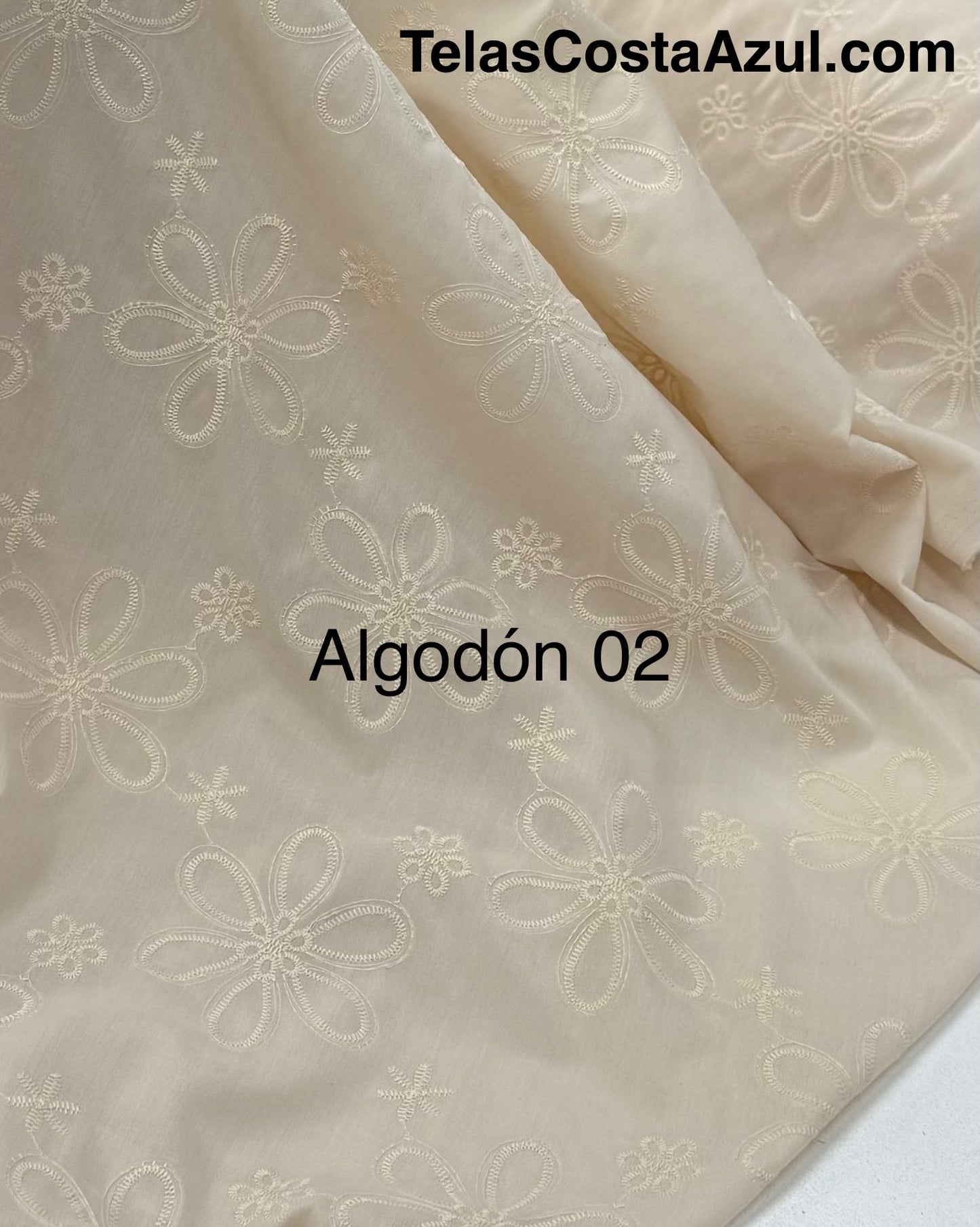 Algodón 02